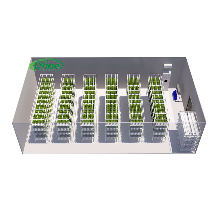 Agriculture Vertical Farming - Estufas agrícolas alface nft sistema hidropônico