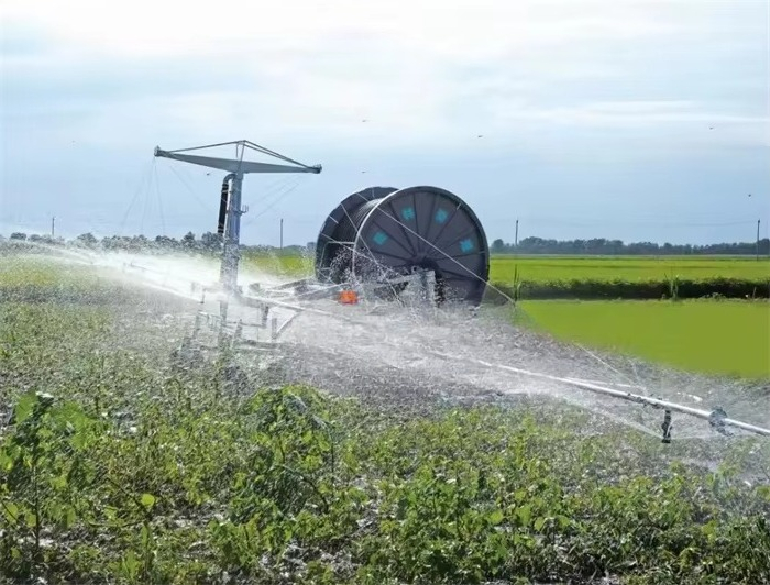 Fornecimento de fábrica de gra - Agriculture Farming Technology avaliação e preço
