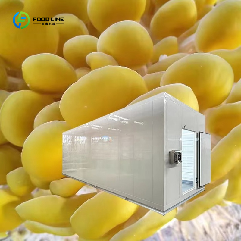Cápsula Inteligente para Culti - Agriculture Farming Technology avaliação e preço