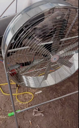 Ventilador Industrial de Venti - Agriculture Farm House avaliação e preço