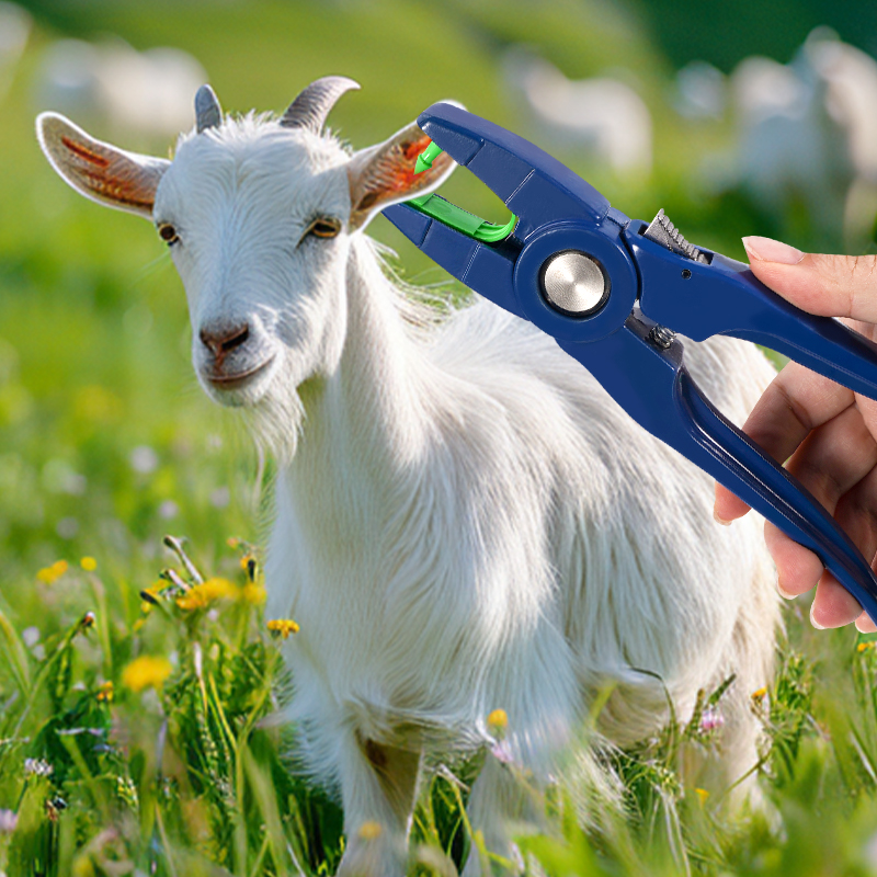 100 peças etiqueta de orelha d - Livestock Ear Tag avaliação e preço