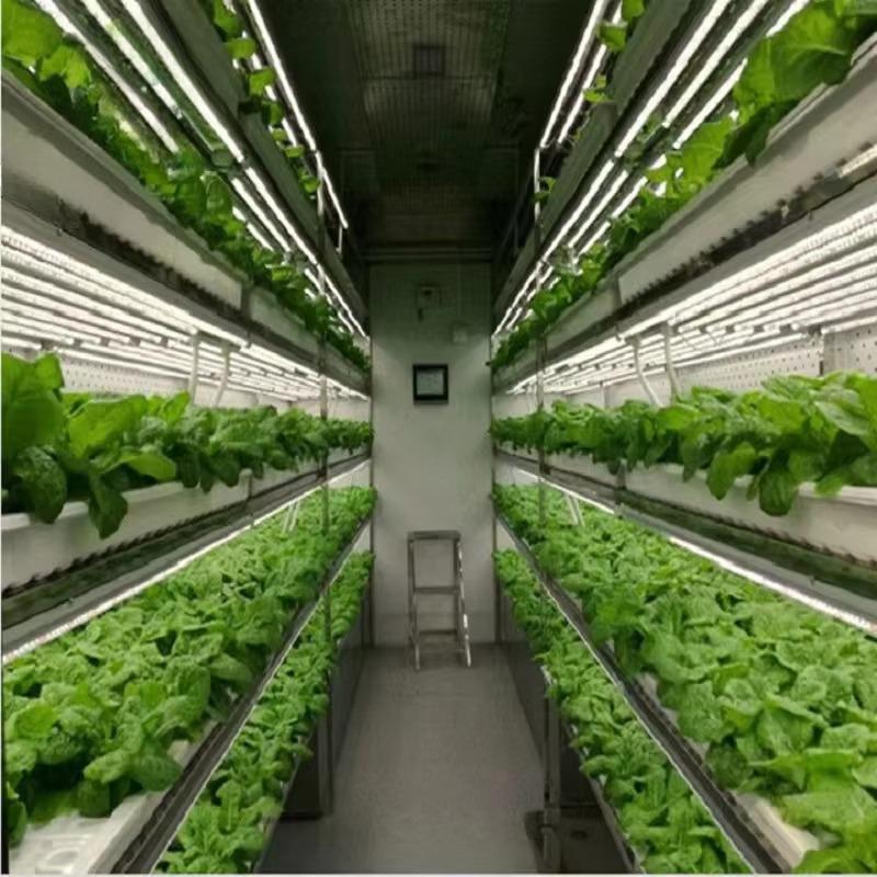 Sistema de Contêineres Hidropô - Agriculture Vertical Farming avaliação e preço