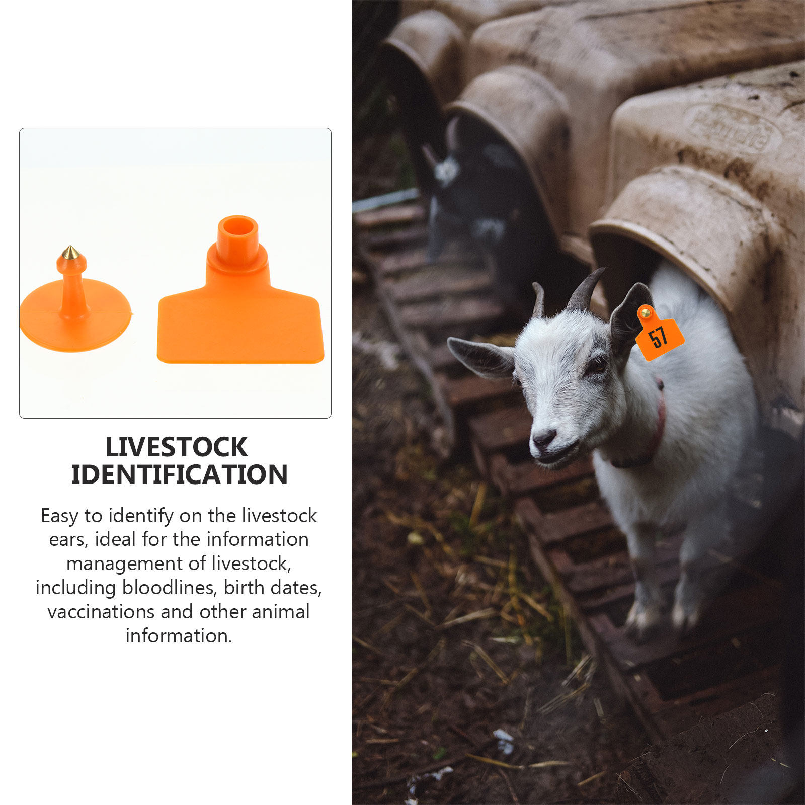 100 Peças de Etiquetas de Orel - Livestock Ear Tag avaliação e preço