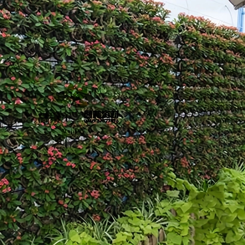 Multi-bolso saco de plantio se - Agriculture Vertical Farming avaliação e preço