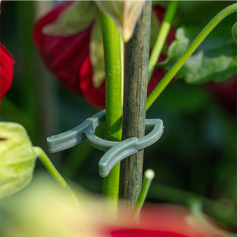 50/100 peças de Clipes para Pl - Agriculture Vertical Farming avaliação e preço
