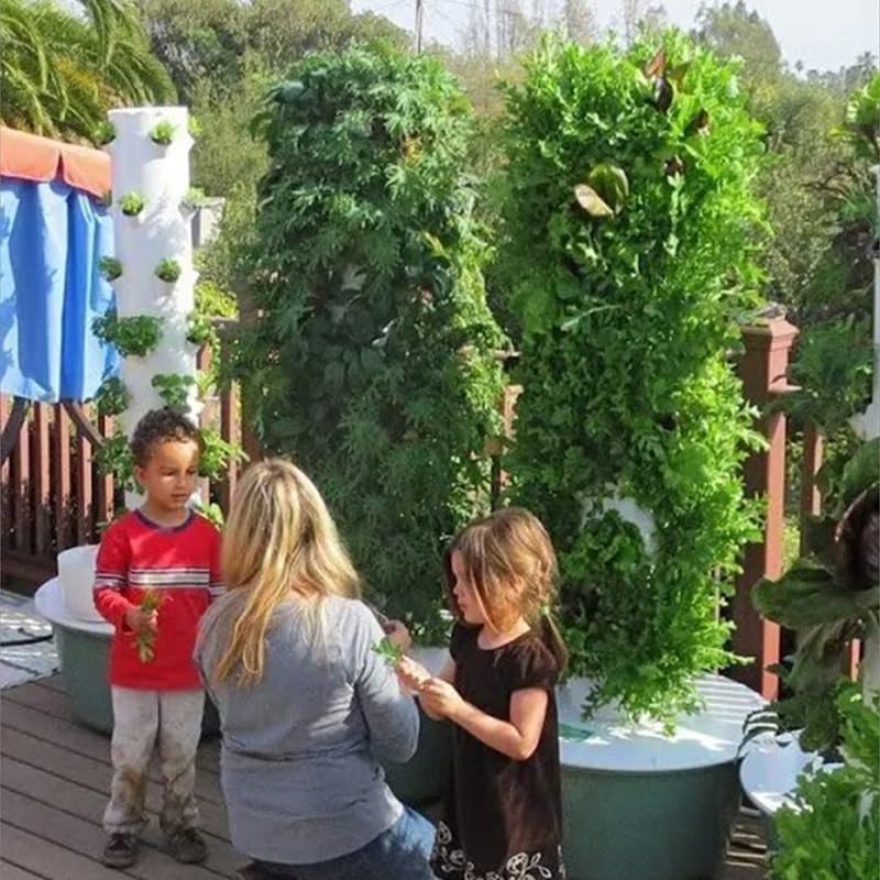 Torre de Cultivo Hidropônico V - Agriculture Vertical Farming avaliação e preço